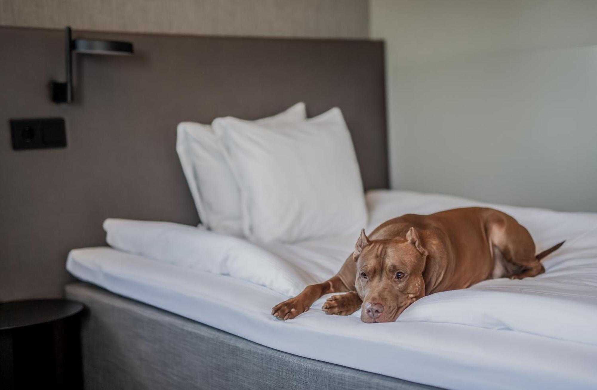 Quality Royal Corner Hotel